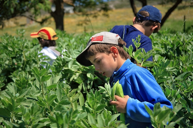  Jardin bio avec les enfants 