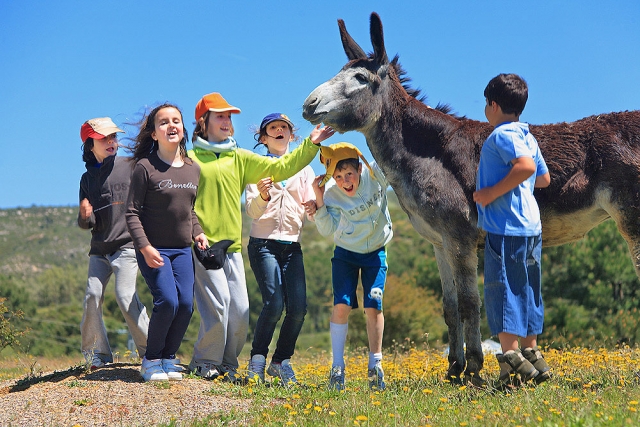  Enfants caressant un âne 
