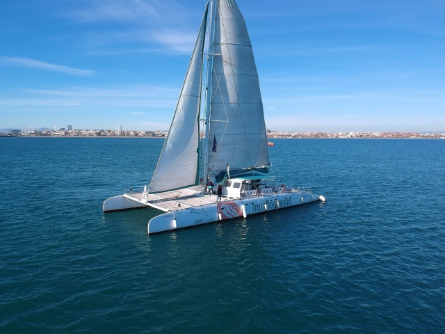 Paseo en catamarán por costa alteana