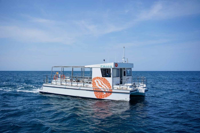 Paseo barco Costa Blanca + paella 3:30h adulto