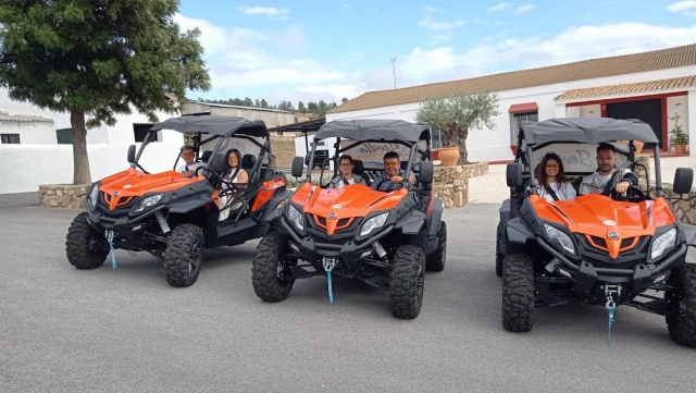 Experiencia en buggy con amigos