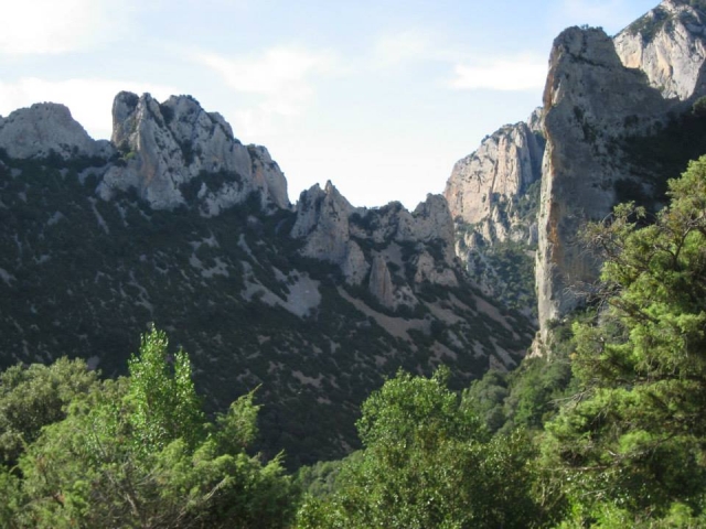 ruta