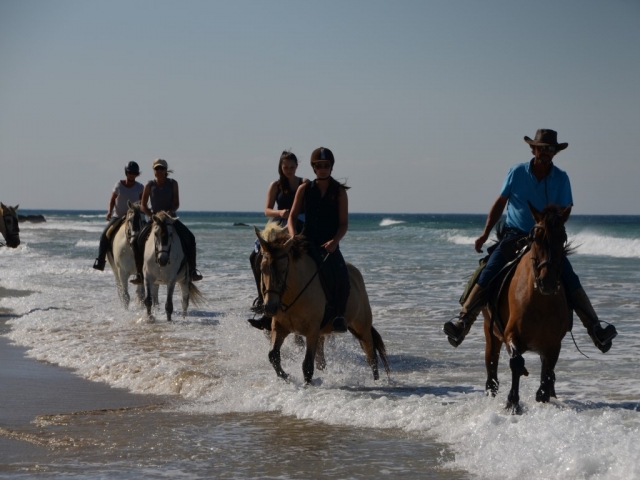 Ruta por la playa de Bolonia a caballo