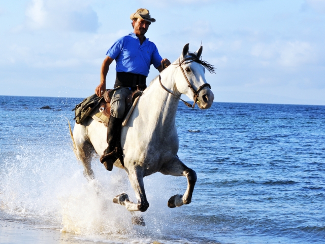 Galopando por la Playa de Bolonia