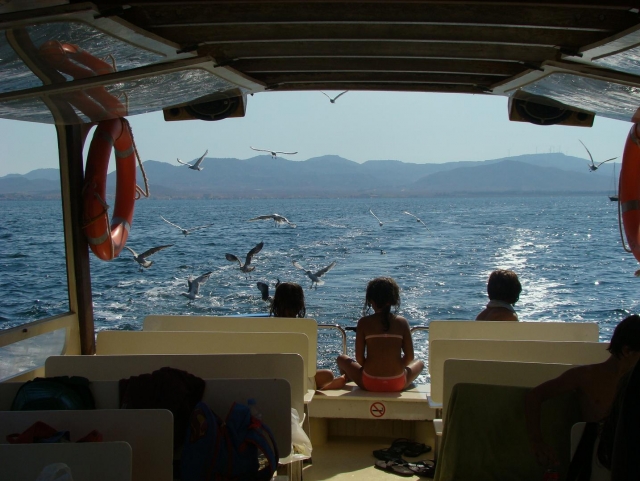 Sailing on the boat 