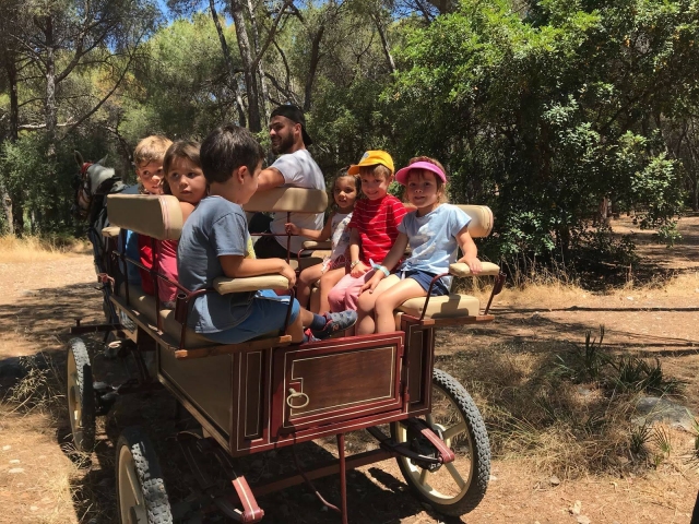  Passeios de carro 