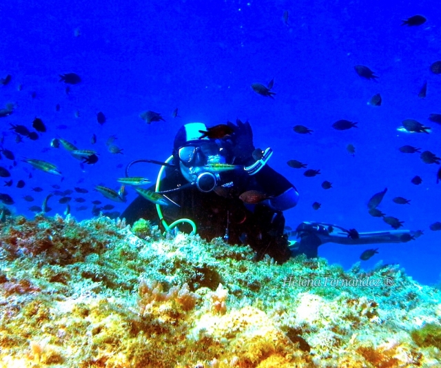  Next to the most beautiful reefs 