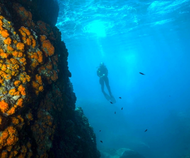  In the deep sea 