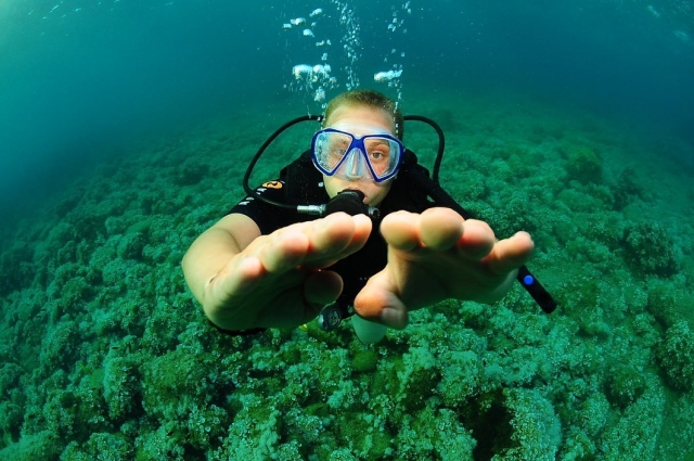  Explore a zona de mergulho em Cala Sant Antoni 