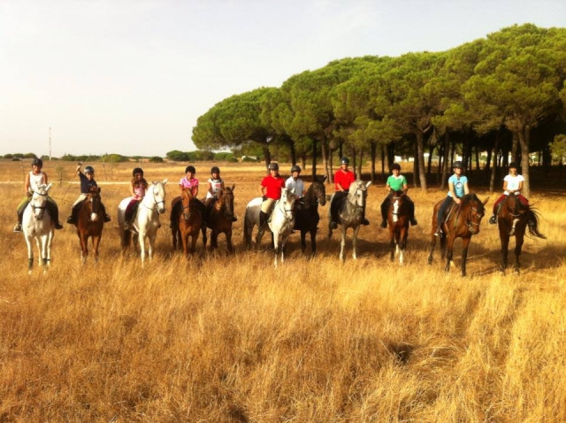 Nuestros caballos
