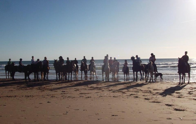 Ruta a caballo por la playa
