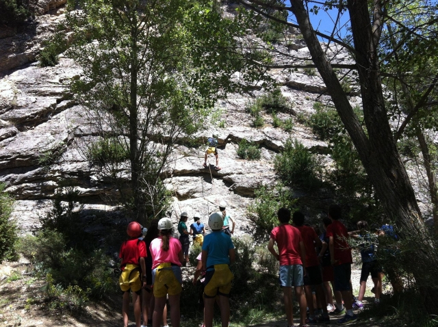 Climbing on the rock wall 