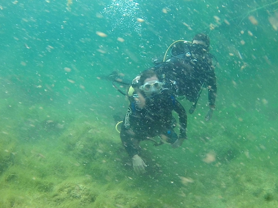  Explorar a fauna e flora fluvial do Tejo 
