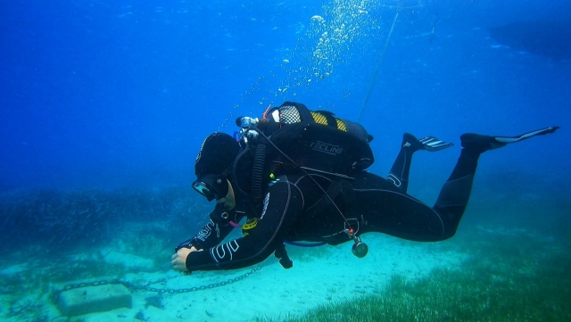 Aprendiendo buceo durante el bautismo