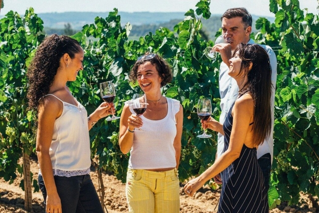 Cata de vinos en el viñedo