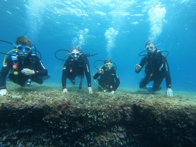  Plongée à Tossa de Mar 