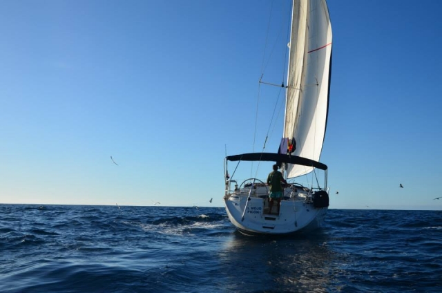  Boat ride in Tenerife 