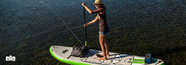  paddle surf 
