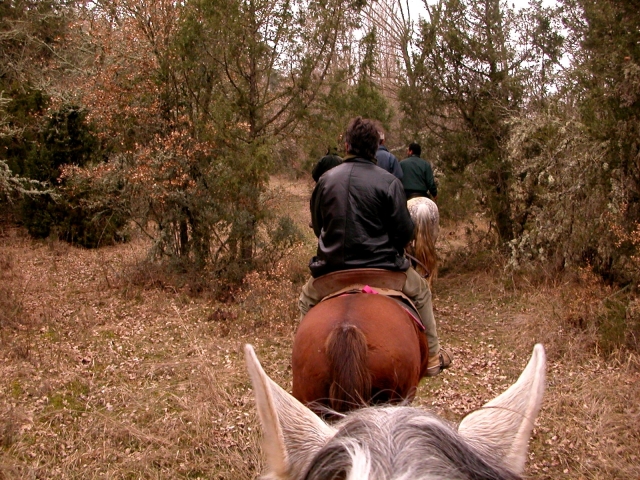 Recorrido a caballo