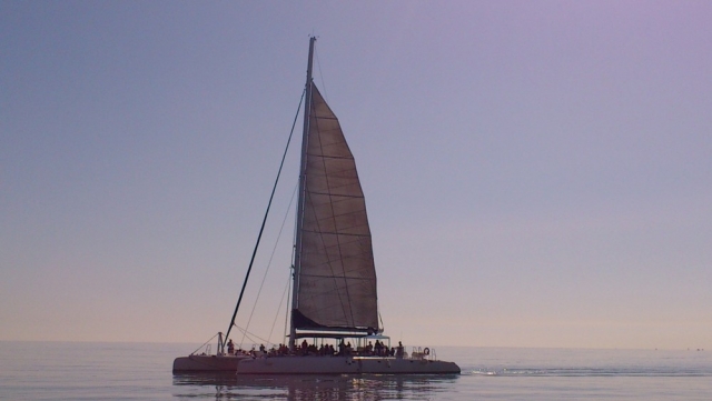 Un catamarán de vela