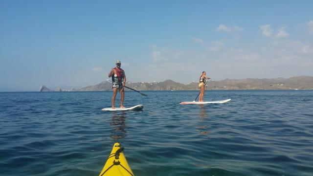 paddle board aguilas