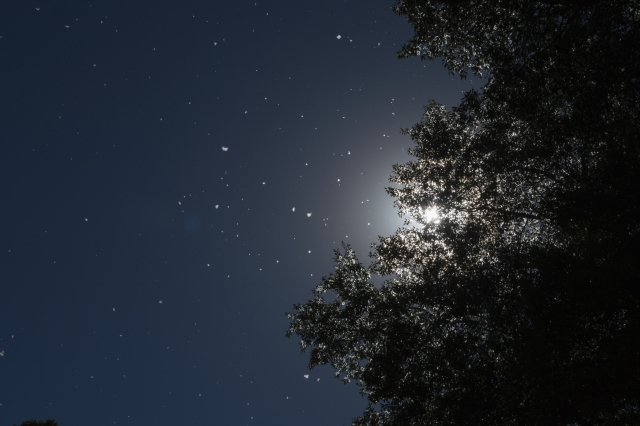  Randonnée nocturne 