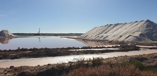 Imagen de las Salinas de Sanlúcar