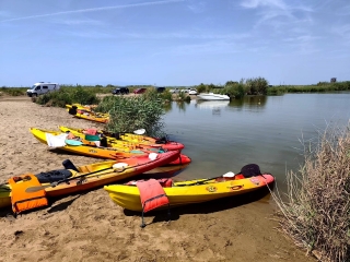 Canal de Migjorn 独木舟租赁，4 小时