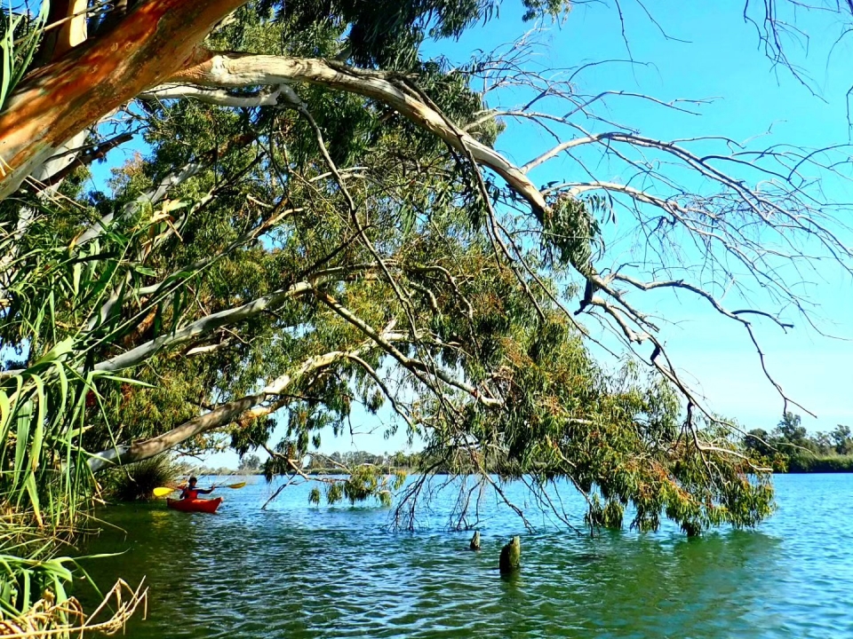 Canal de Migjorn 独木舟 