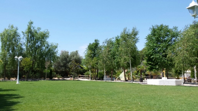  Il prato della fattoria 