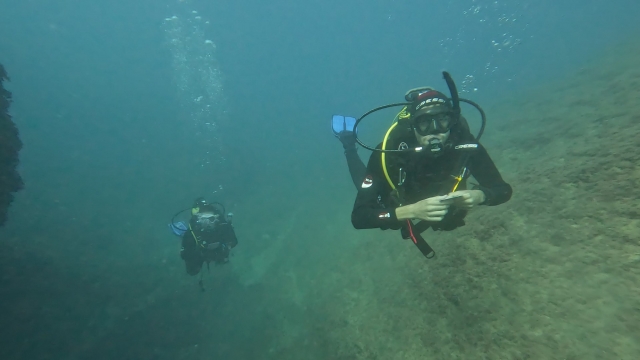  Corsi di immersione 