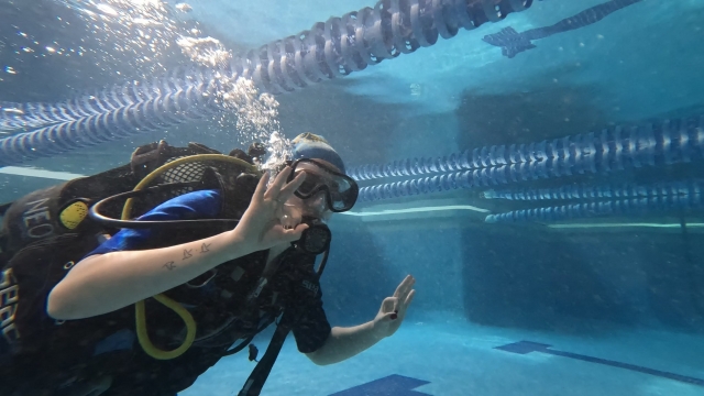  Ottieni il tuo Divemaster PADI a Las Tablas 