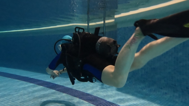  Divemaster PADI a Las Tablas