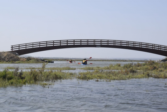  Piedras River Marshes 