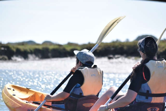  Navigate the marshes in a kayak