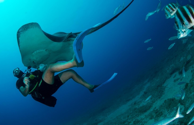 Diver caressing the manta 
