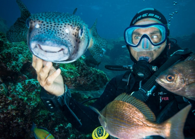  Diver surrounded by fish 