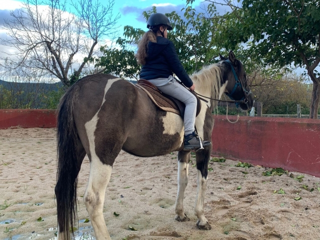Cabalga a lomos de un caballo en la sierra de Madrid