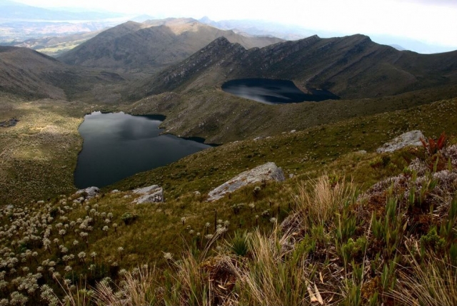 Trekking 