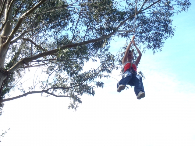  Zipline