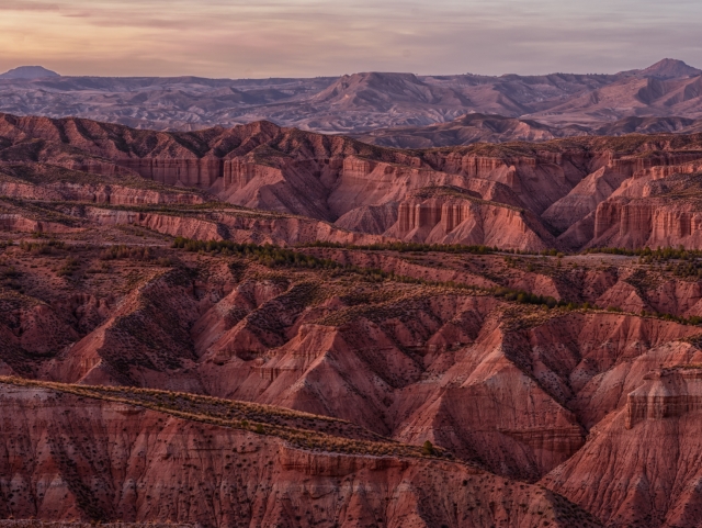  Deserto coloros 