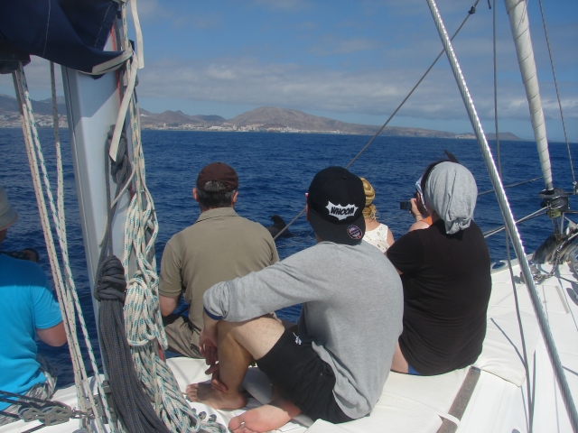 excursion en velero tenerife