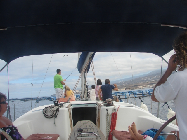  sailing in Tenerife 
