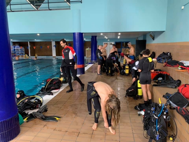  Groups of divers in the school 