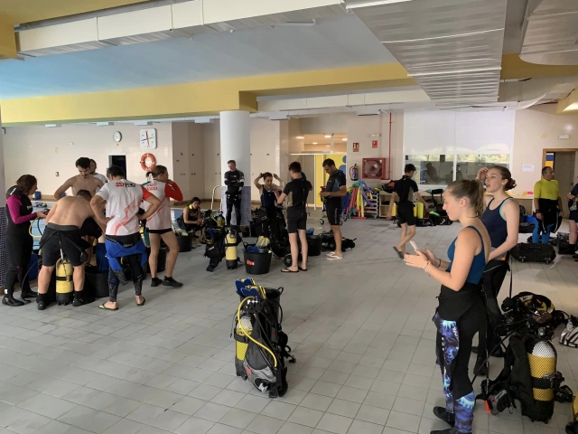  All the diving materials prepared for the dive 