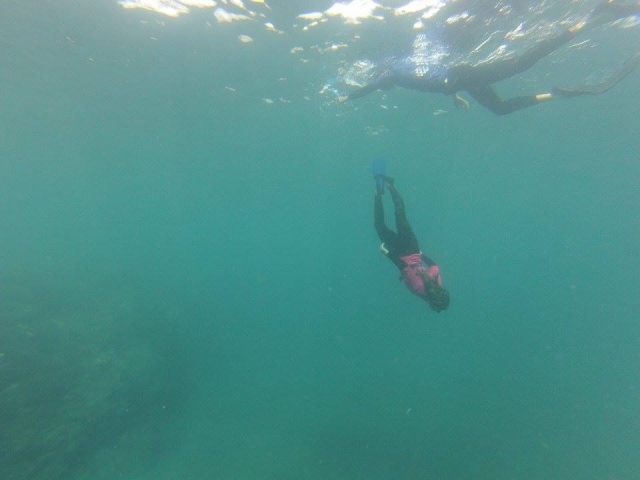 Analizando el fondo marino