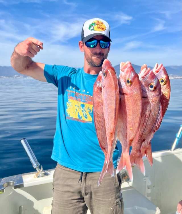 Pesca al curricán desde Puerto La Bajadilla, 4h