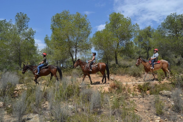 Desfrutando do percurso a cavalo em Valência 