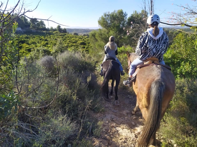  Amigos a cavalo