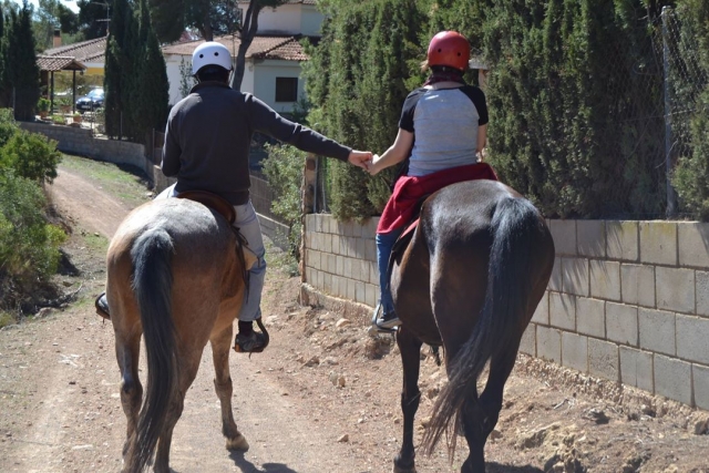  Passeios a cavalo em Vilamarxant 
